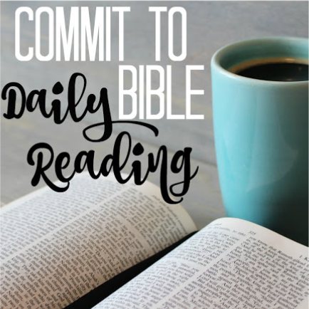 daily bible reading